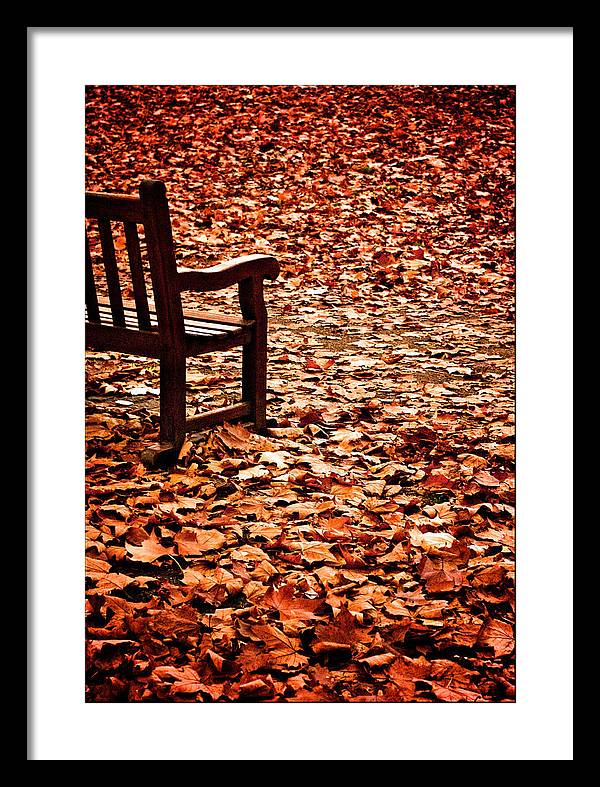 Autumnal Colours - Framed Print