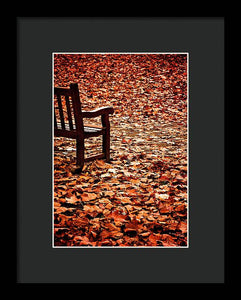 Autumnal Colours - Framed Print