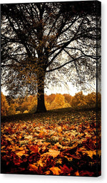 Load image into Gallery viewer, Autumnal Park - Canvas Print
