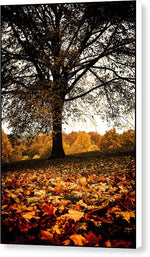 Load image into Gallery viewer, Autumnal Park - Canvas Print

