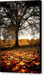 Load image into Gallery viewer, Autumnal Park - Canvas Print
