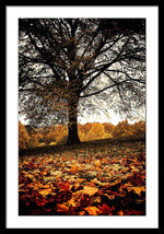 Load image into Gallery viewer, Autumnal Park - Framed Print
