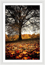 Load image into Gallery viewer, Autumnal Park - Framed Print
