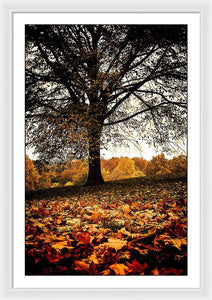 Autumnal Park - Framed Print