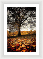 Load image into Gallery viewer, Autumnal Park - Framed Print
