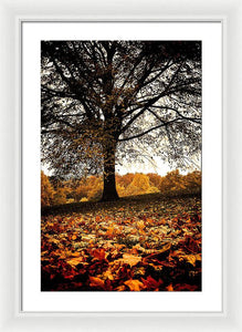 Autumnal Park - Framed Print