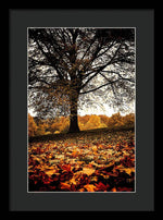 Load image into Gallery viewer, Autumnal Park - Framed Print
