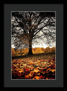 Autumnal Park - Framed Print