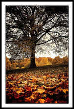 Load image into Gallery viewer, Autumnal Park - Framed Print
