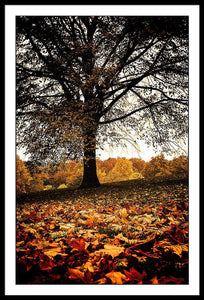 Autumnal Park - Framed Print