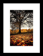 Load image into Gallery viewer, Autumnal Park - Framed Print
