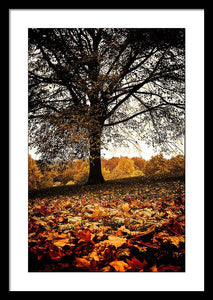 Autumnal Park - Framed Print