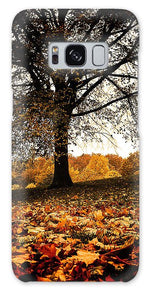 Load image into Gallery viewer, Autumnal Park - Phone Case

