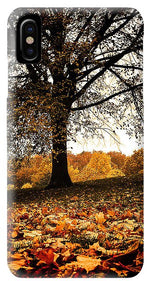 Load image into Gallery viewer, Autumnal Park - Phone Case
