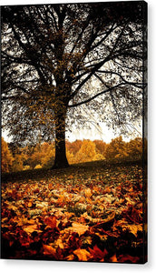 Autumnal Park - Acrylic Print