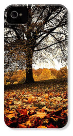 Load image into Gallery viewer, Autumnal Park - Phone Case

