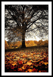 Autumnal Park - Framed Print