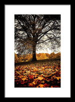 Load image into Gallery viewer, Autumnal Park - Framed Print
