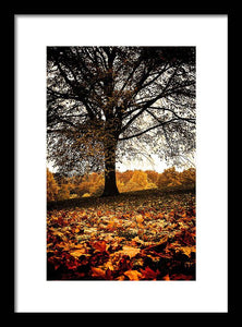 Autumnal Park - Framed Print