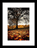 Load image into Gallery viewer, Autumnal Park - Framed Print
