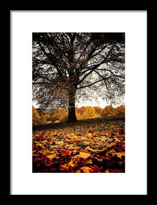 Autumnal Park - Framed Print