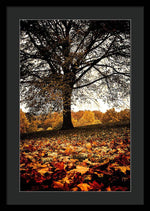 Load image into Gallery viewer, Autumnal Park - Framed Print
