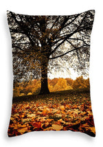 Load image into Gallery viewer, Autumnal Park - Throw Pillow
