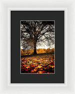 Load image into Gallery viewer, Autumnal Park - Framed Print
