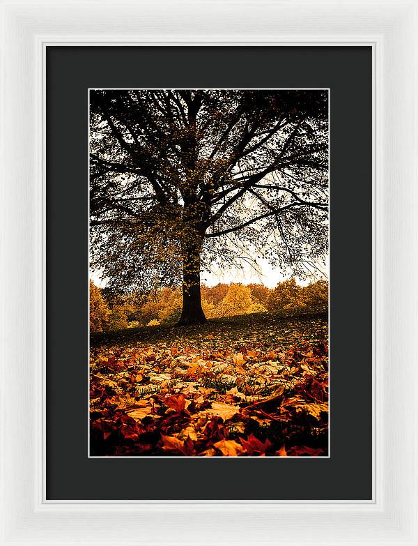 Autumnal Park - Framed Print