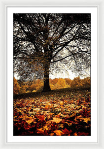 Autumnal Park - Framed Print