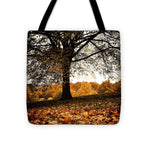 Load image into Gallery viewer, Autumnal Park - Tote Bag
