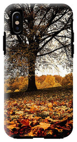 Load image into Gallery viewer, Autumnal Park - Phone Case
