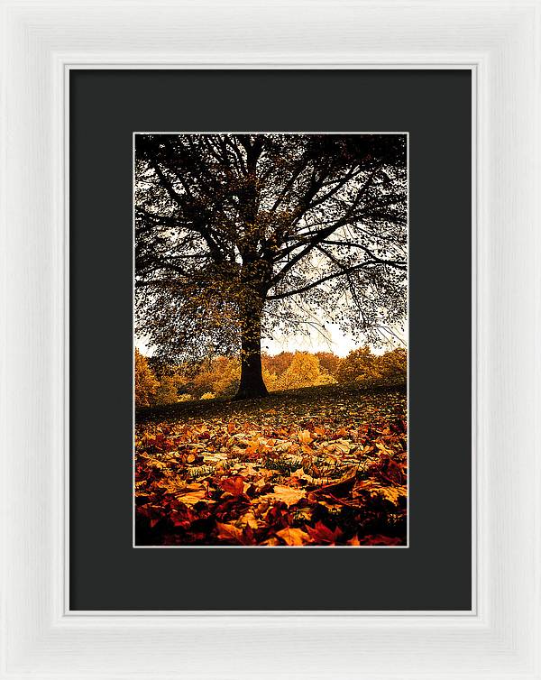 Autumnal Park - Framed Print