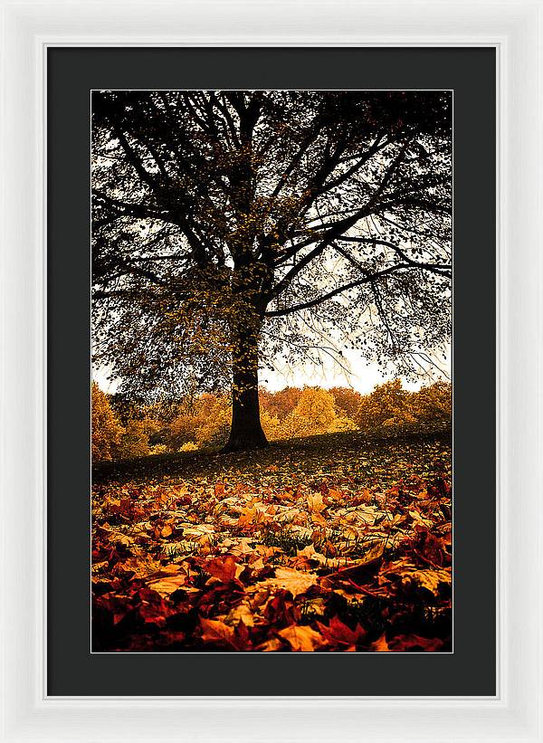 Autumnal Park - Framed Print