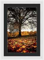 Load image into Gallery viewer, Autumnal Park - Framed Print
