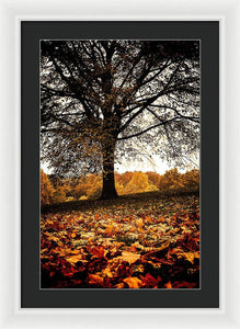 Autumnal Park - Framed Print