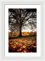 Load image into Gallery viewer, Autumnal Park - Framed Print
