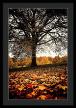 Load image into Gallery viewer, Autumnal Park - Framed Print
