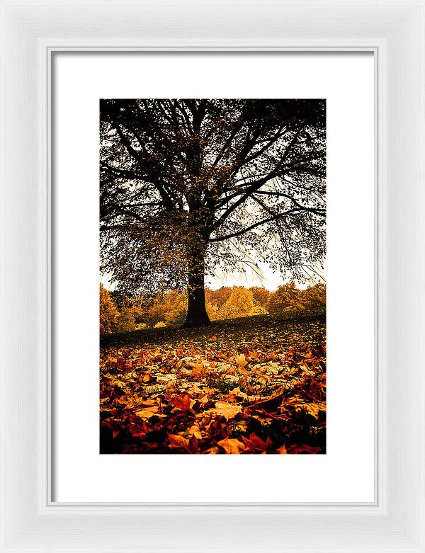 Autumnal Park - Framed Print