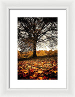 Load image into Gallery viewer, Autumnal Park - Framed Print
