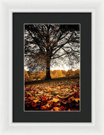 Load image into Gallery viewer, Autumnal Park - Framed Print
