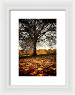 Load image into Gallery viewer, Autumnal Park - Framed Print
