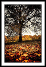 Load image into Gallery viewer, Autumnal Park - Framed Print
