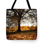 Load image into Gallery viewer, Autumnal Park - Tote Bag
