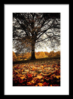 Load image into Gallery viewer, Autumnal Park - Framed Print
