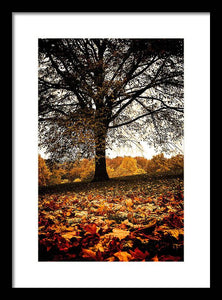 Autumnal Park - Framed Print