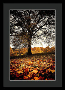 Autumnal Park - Framed Print