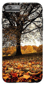 Load image into Gallery viewer, Autumnal Park - Phone Case
