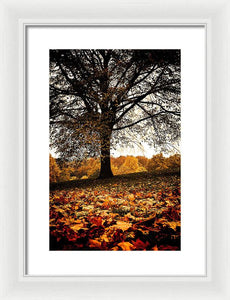 Autumnal Park - Framed Print