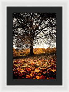 Autumnal Park - Framed Print